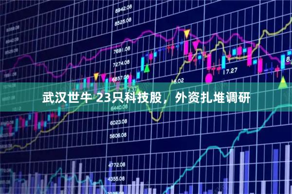 武汉世牛 23只科技股，外资扎堆调研