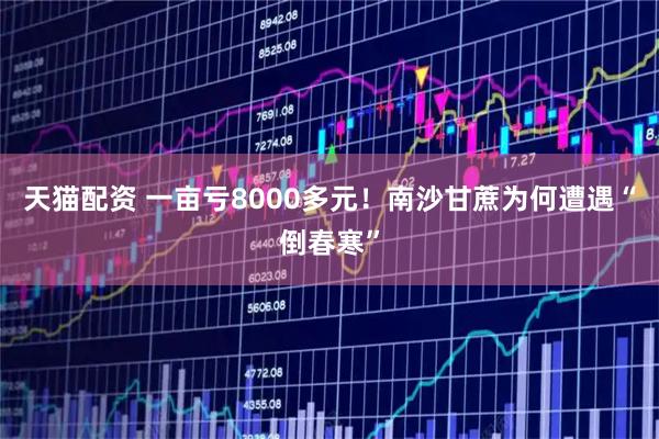 天猫配资 一亩亏8000多元!南沙甘蔗为何遭遇“倒春寒”