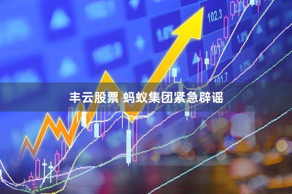 丰云股票 蚂蚁集团紧急辟谣