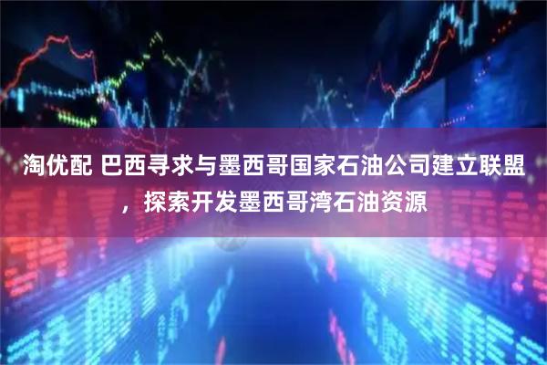 淘优配 巴西寻求与墨西哥国家石油公司建立联盟，探索开发墨西哥湾石油资源